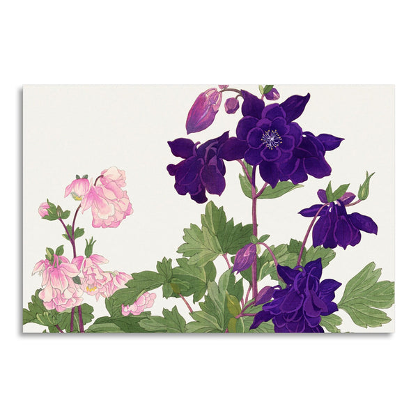 Quadro Stampa su Tela con Telaio in Legno Seiyo Soka Zufu - Aquilegia flower