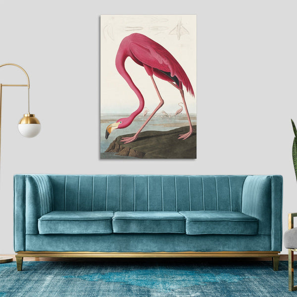 Quadro Stampa su Tela con Telaio in Legno John James Audubon - Pink Flamingo from Birds of America