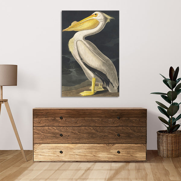 Quadro Stampa su Tela con Telaio in Legno John James Audubon - American White Pelican from Birds of America