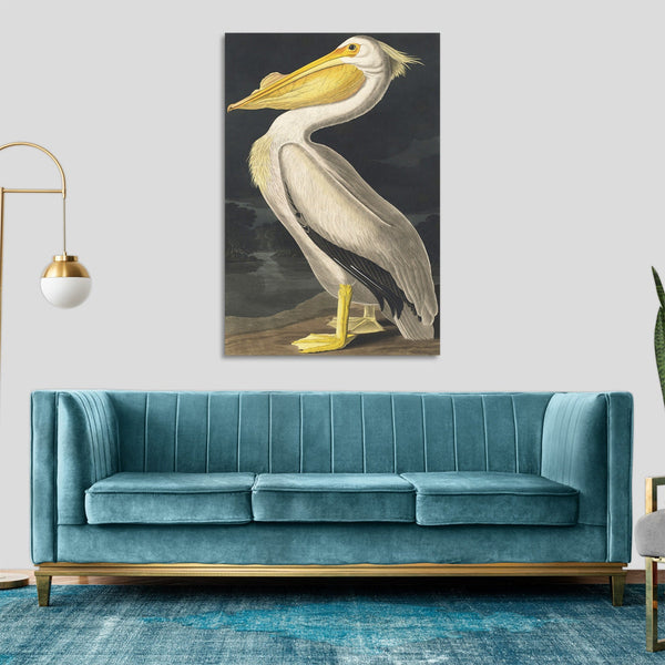 Quadro Stampa su Tela con Telaio in Legno John James Audubon - American White Pelican from Birds of America