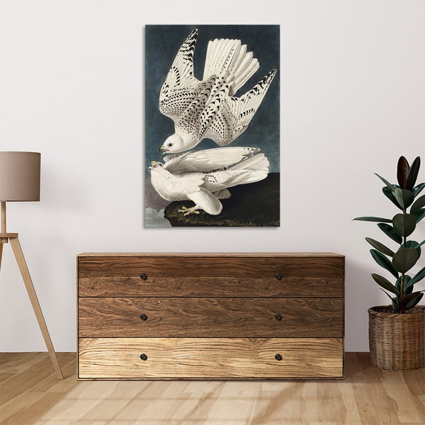 Quadro Stampa su Tela con Telaio in Legno John James Audubon - Iceland or Jer Falcon from Birds of America