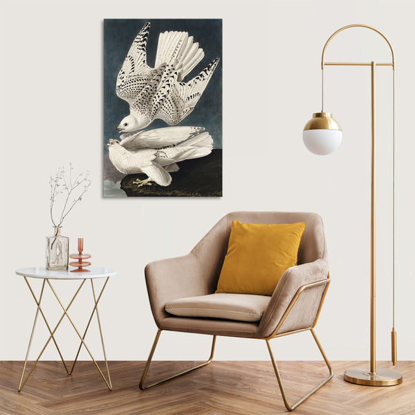 Quadro Stampa su Tela con Telaio in Legno John James Audubon - Iceland or Jer Falcon from Birds of America