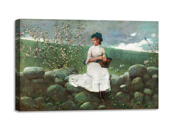 Quadro Stampa su Tela con Telaio in Legno Winslow Homer - Peach Blossoms