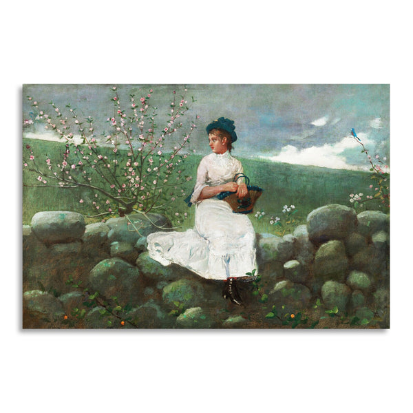 Quadro Stampa su Tela con Telaio in Legno Winslow Homer - Peach Blossoms