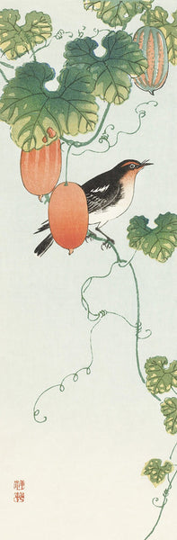 Quadro Stampa su Tela con Telaio in Legno Ohara Koson - Songbird in cucumber plant