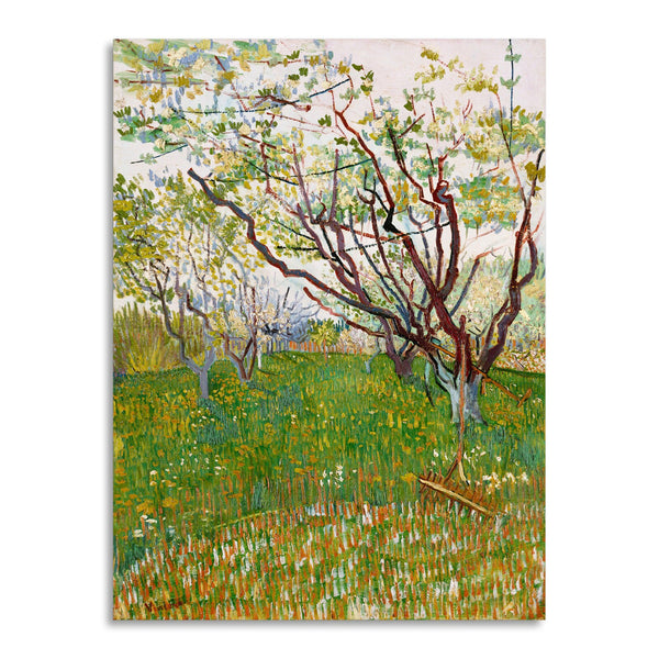 Quadro Stampa su Tela con Telaio in Legno Vincent van Gogh - The Flowering Orchard