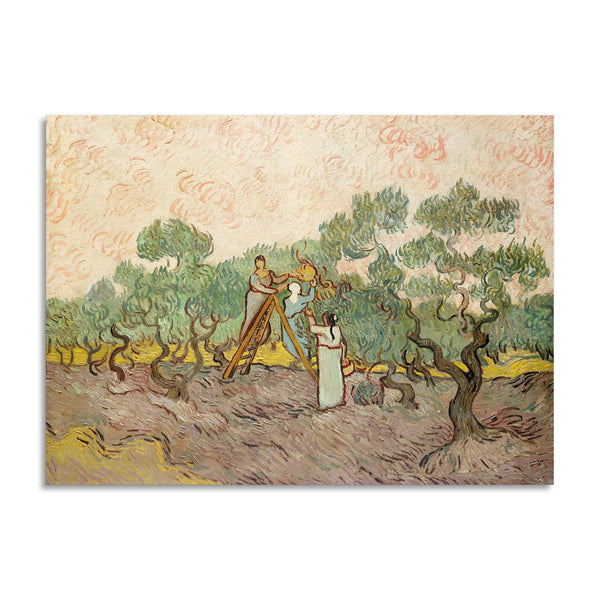 Quadro Stampa su Tela con Telaio in Legno Vincent van Gogh - The Olive Orchard
