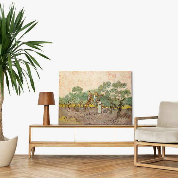 Quadro Stampa su Tela con Telaio in Legno Vincent van Gogh - The Olive Orchard