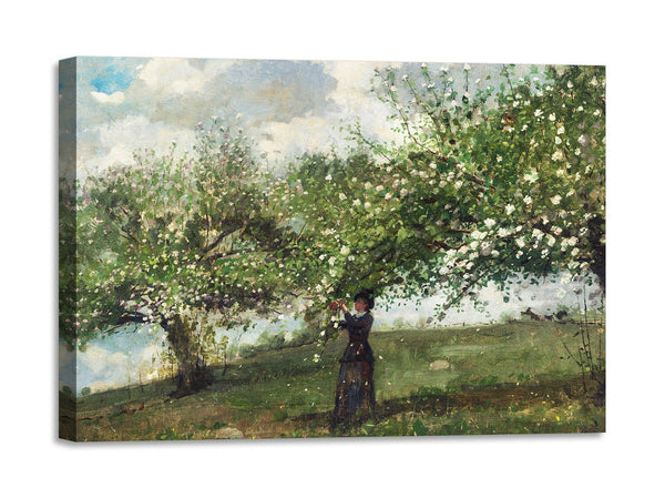Quadro Stampa su Tela con Telaio in Legno Winslow Homer - Girl Picking Apple Blossoms