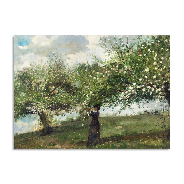 Quadro Stampa su Tela con Telaio in Legno Winslow Homer - Girl Picking Apple Blossoms