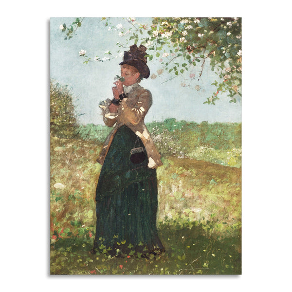 Quadro Stampa su Tela con Telaio in Legno Winslow Homer - The Yellow Jacket