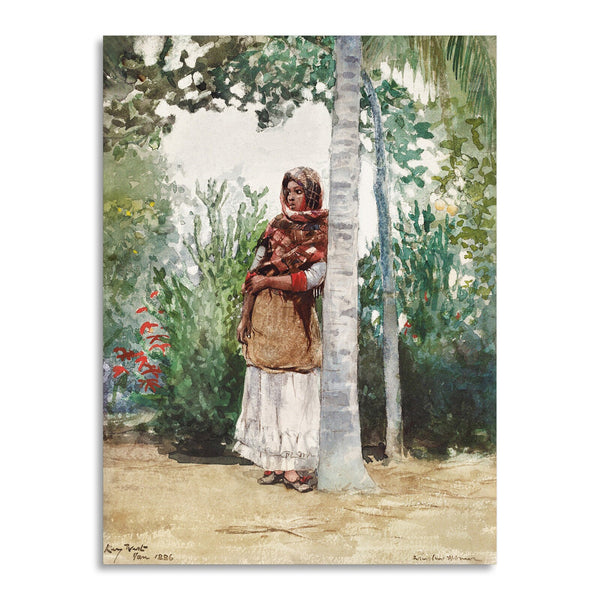 Quadro Stampa su Tela con Telaio in Legno Winslow Homer - Under a Palm Tree