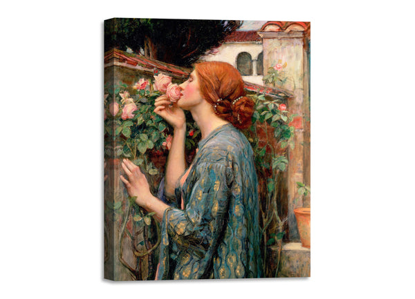 Quadro Stampa su Tela con Telaio in Legno John William Waterhouse - The Soul of the Rose