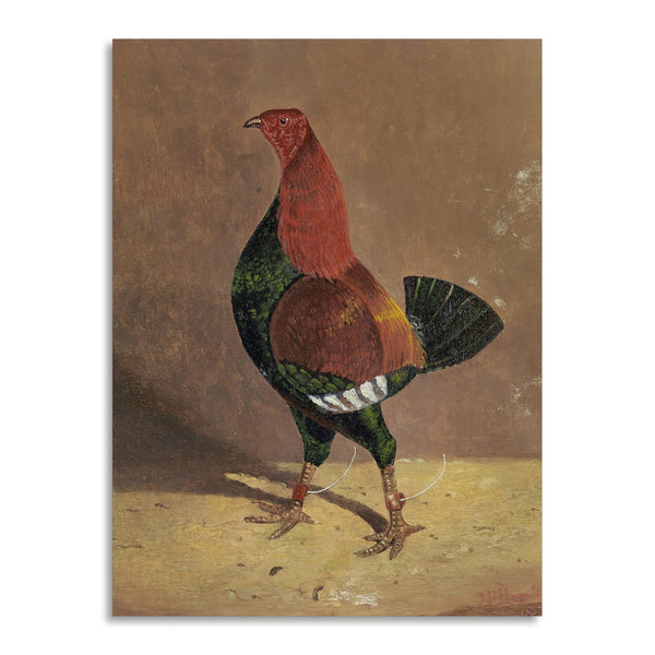 Quadro Stampa su Tela con Telaio in Legno John Frederick Herring - Fighting Cocks