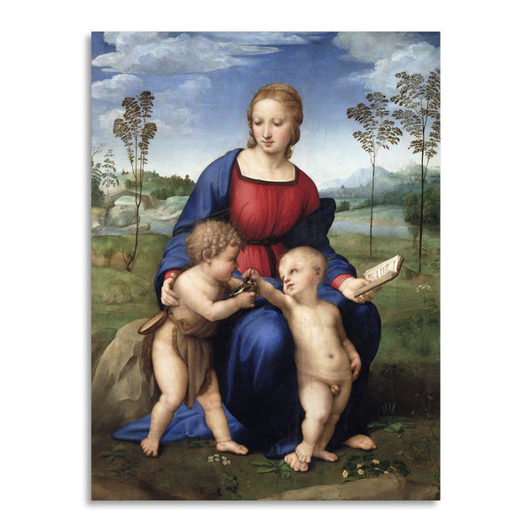 Quadro Stampa su Tela con Telaio in Legno Raffaello Sanzio - Madonna of the Goldfinch