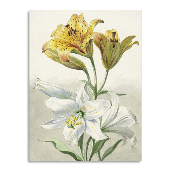 Quadro Stampa su Tela con Telaio in Legno Willem van Leen - Yellow and White Lilies