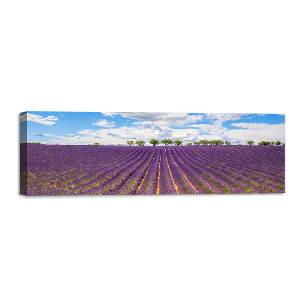 Quadro Stampa su Tela con Telaio in Legno paesaggio provenza campo di lavanda