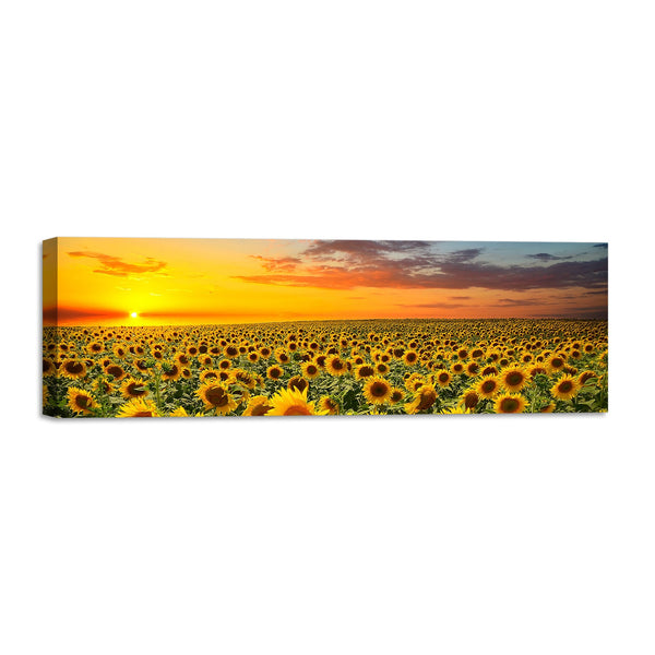 Quadro Stampa su Tela con Telaio in Legno paesaggio campo di girasoli tramonti
