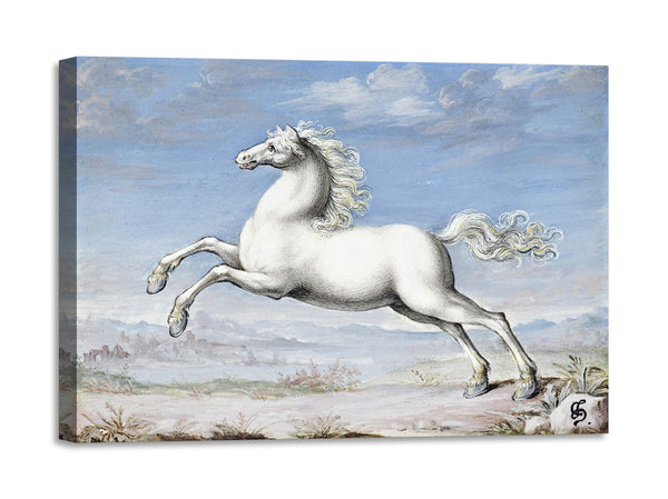Quadro Stampa su Tela con Telaio in Legno Joris Hoefnagel - White horse