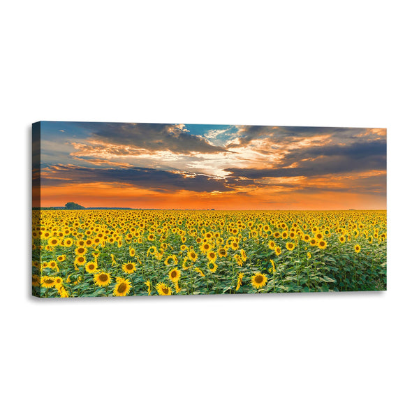 Quadro Stampa su Tela con Telaio in Legno paesaggio tramonto campo di girasoli