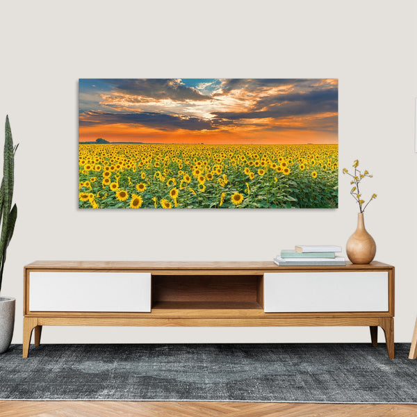 Quadro Stampa su Tela con Telaio in Legno paesaggio tramonto campo di girasoli