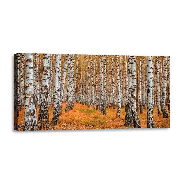 Quadro Stampa su Tela con Telaio in Legno paesaggio bosco