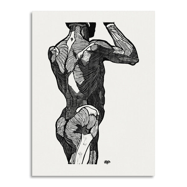 Quadro Stampa su Tela con Telaio in Legno Reijer Stolk - Anatomical study of a man’s back muscles