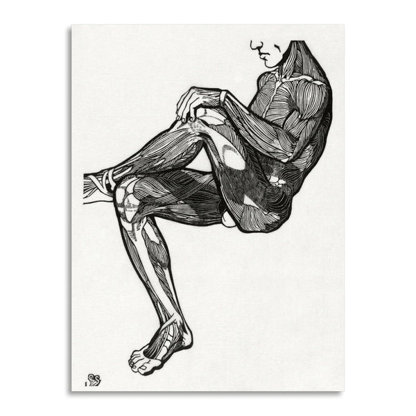 Quadro Stampa su Tela con Telaio in Legno Reijer Stolk - Anatomical study of a man’s leg and arm muscles