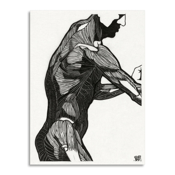 Quadro Stampa su Tela con Telaio in Legno Reijer Stolk - Anatomical study of a man’s lateral and arm muscles