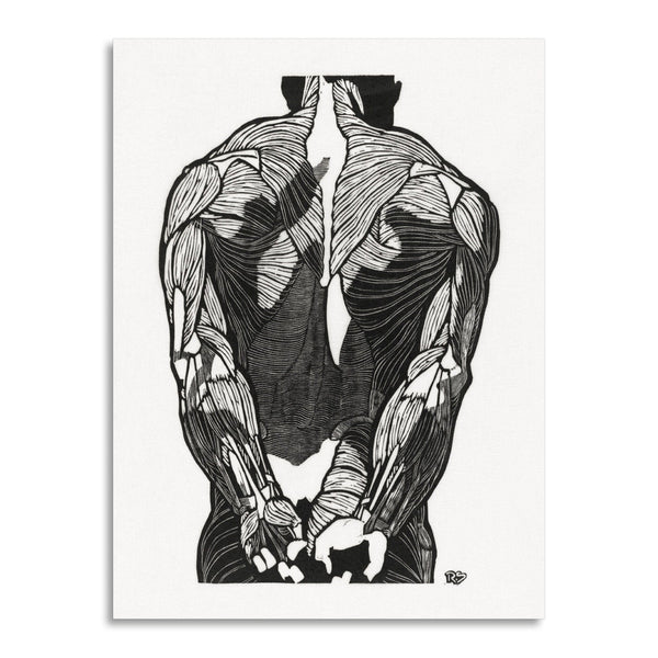 Quadro Stampa su Tela con Telaio in Legno Reijer Stolk - Anatomical study of a man’s back muscles