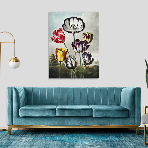Quadro Stampa su Tela con Telaio in Legno Robert John Thornton - Tulips from The Temple of Flora