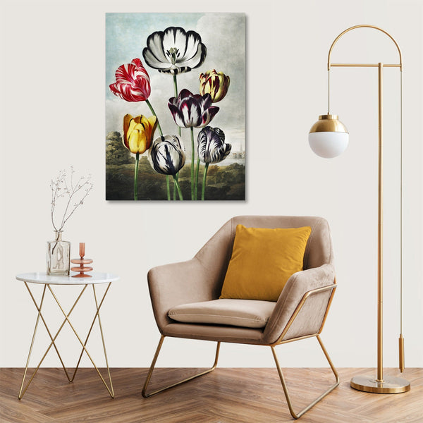 Quadro Stampa su Tela con Telaio in Legno Robert John Thornton - Tulips from The Temple of Flora