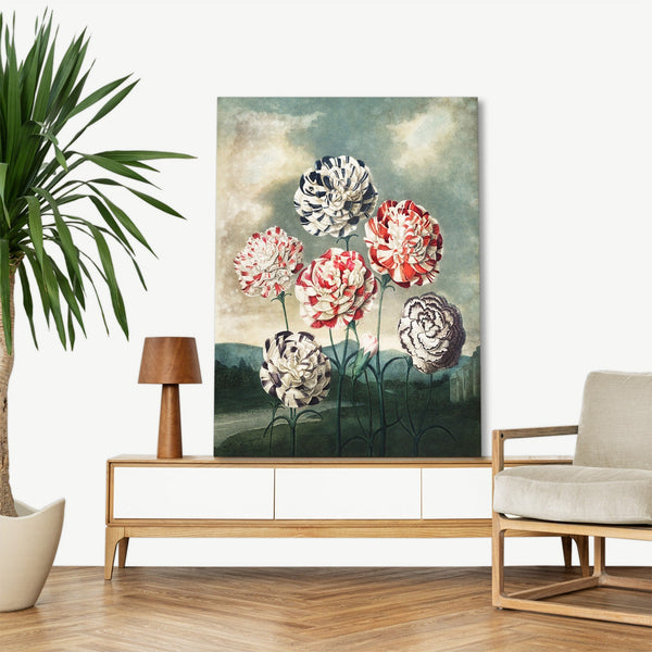 Quadro Stampa su Tela con Telaio in Legno Robert John Thornton - A Group of Carnations from The Temple of Flora