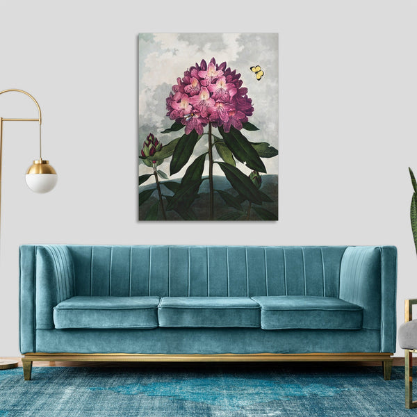 Quadro Stampa su Tela con Telaio in Legno Robert John Thornton - The Pontic Rhododendron from The Temple of Flora