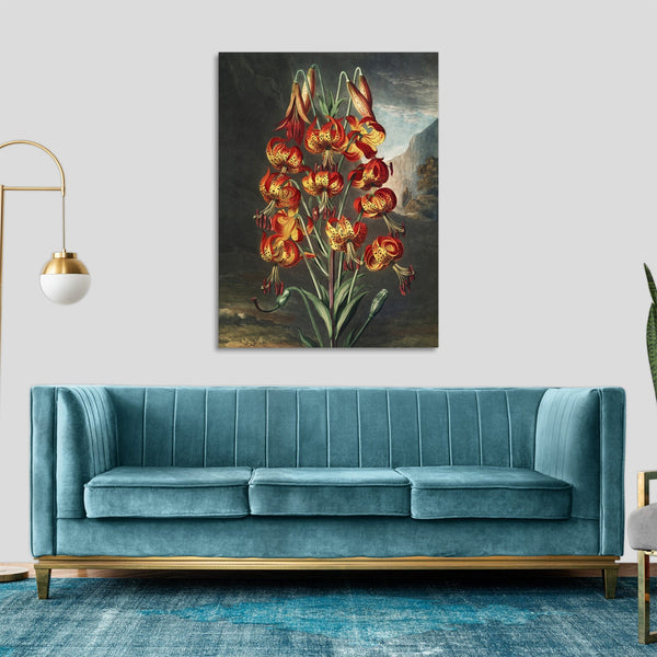 Quadro Stampa su Tela con Telaio in Legno Robert John Thornton - The Superb Lily from The Temple of Flora