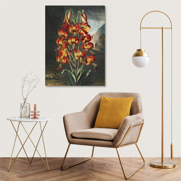 Quadro Stampa su Tela con Telaio in Legno Robert John Thornton - The Superb Lily from The Temple of Flora