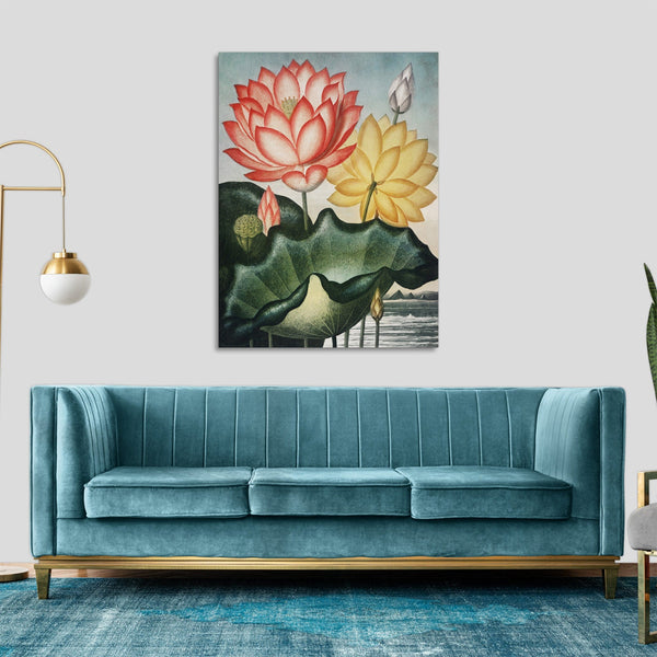Quadro Stampa su Tela con Telaio in Legno Robert John Thornton - The Sacred Egyptian Bean from The Temple of Flora