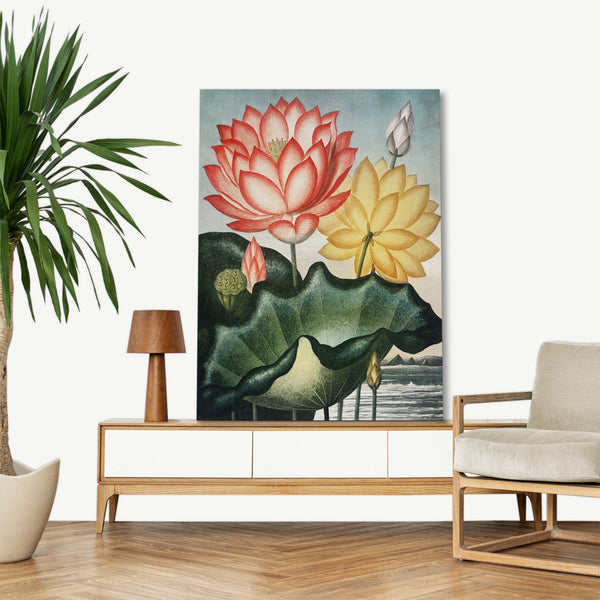 Quadro Stampa su Tela con Telaio in Legno Robert John Thornton - The Sacred Egyptian Bean from The Temple of Flora
