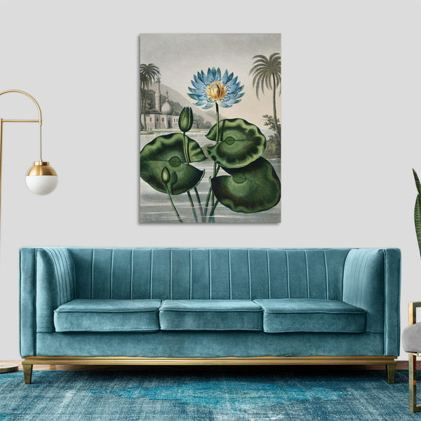 Quadro Stampa su Tela con Telaio in Legno Robert John Thornton - The Blue Egyptian Water-Lily from The Temple of Flora