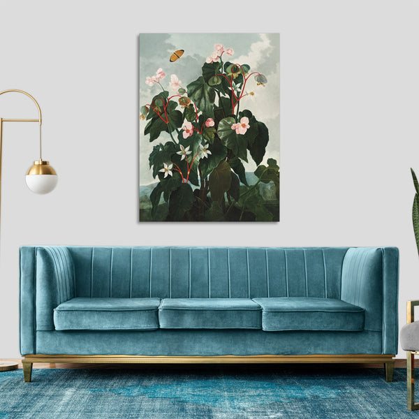 Quadro Stampa su Tela con Telaio in Legno Robert John Thornton - The Oblique Leaved Begonia from The Temple of Flora