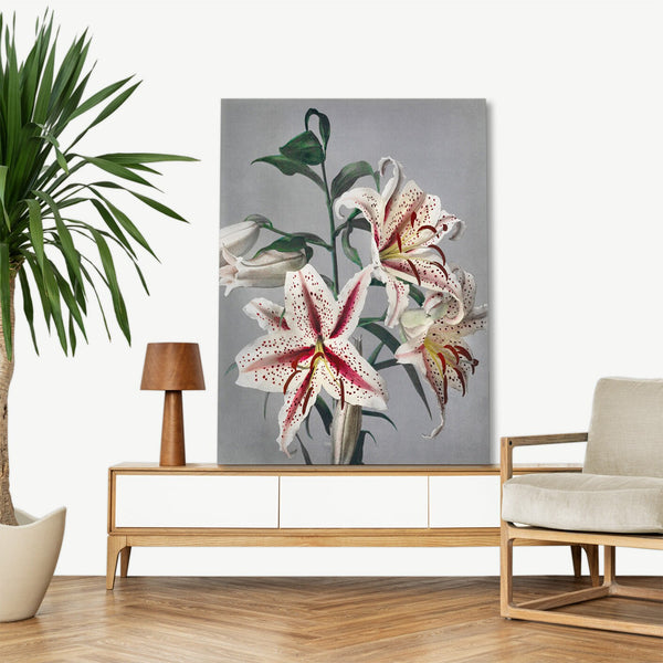 Quadro Stampa su Tela con Telaio in Legno Kazumasa Ogawa - Lily