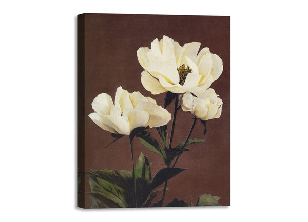 Quadro Stampa su Tela con Telaio in Legno Kazumasa Ogawa - Peony
