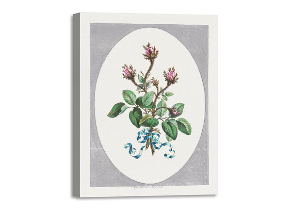 Quadro Stampa su Tela con Telaio in Legno John Edwards - Moss Province Rose Buds