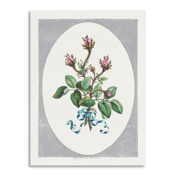 Quadro Stampa su Tela con Telaio in Legno John Edwards - Moss Province Rose Buds