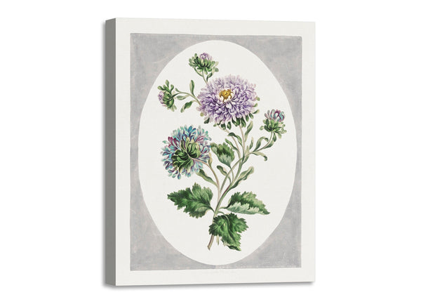 Quadro Stampa su Tela con Telaio in Legno John Edwards - Large Double-China Aster