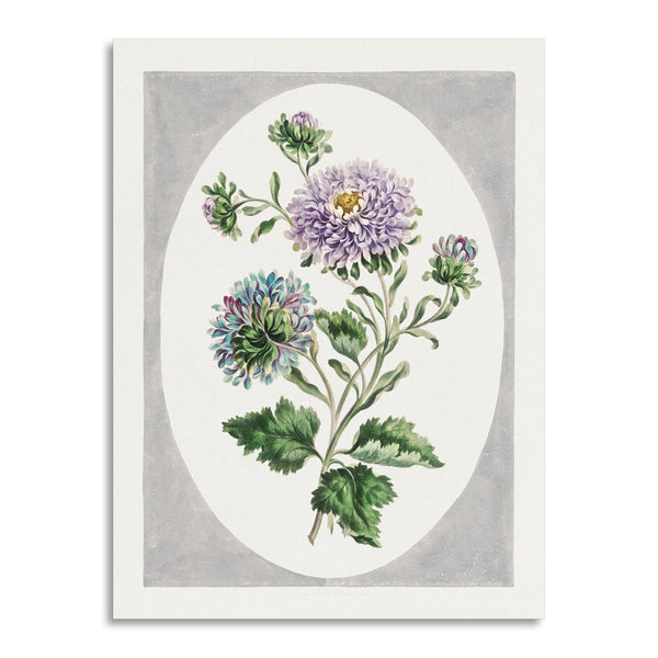 Quadro Stampa su Tela con Telaio in Legno John Edwards - Large Double-China Aster