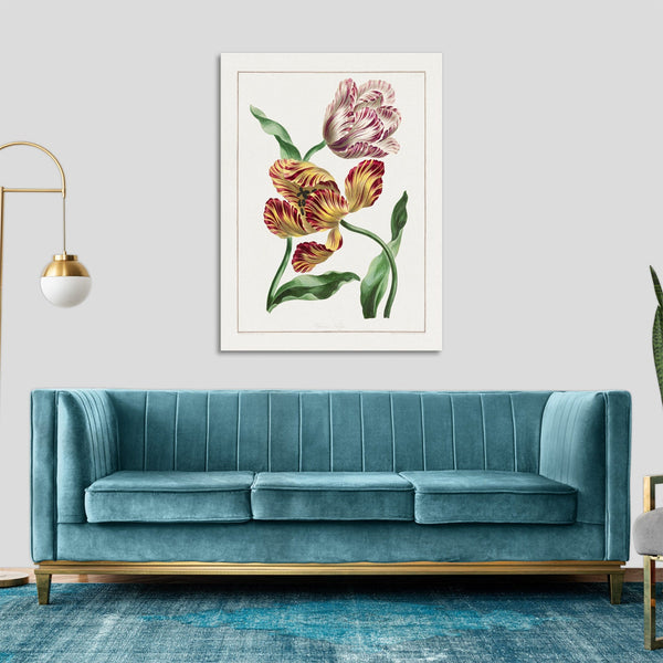 Quadro Stampa su Tela con Telaio in Legno John Edwards - Various Tulips
