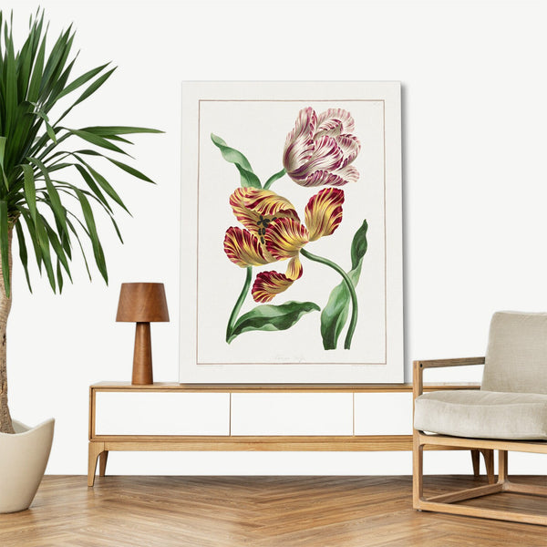 Quadro Stampa su Tela con Telaio in Legno John Edwards - Various Tulips