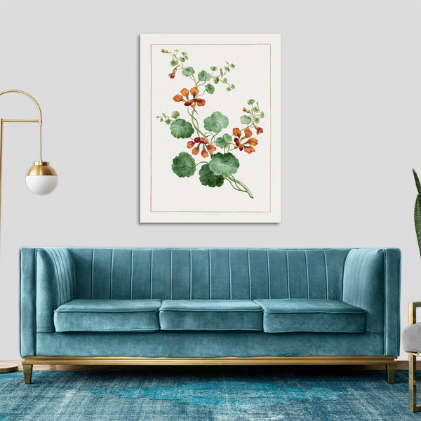 Quadro Stampa su Tela con Telaio in Legno John Edwards - Nasturtium