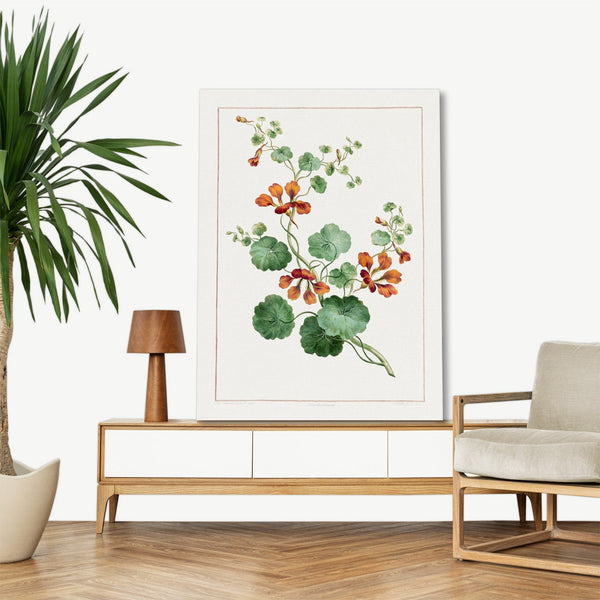 Quadro Stampa su Tela con Telaio in Legno John Edwards - Nasturtium